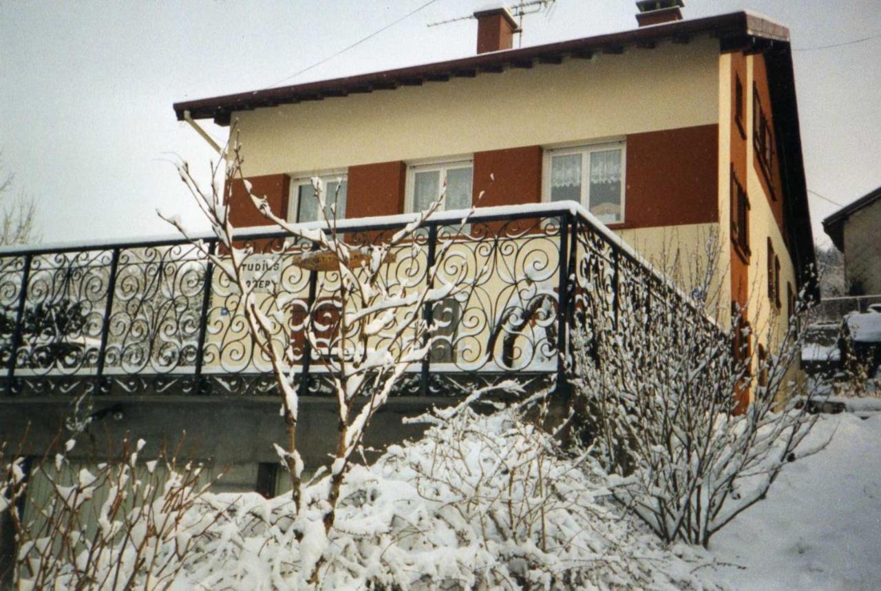 Studio Cosy Avec Vue Sur Lac Et Montagne A Gerardmer 30 M² ภายนอก รูปภาพ